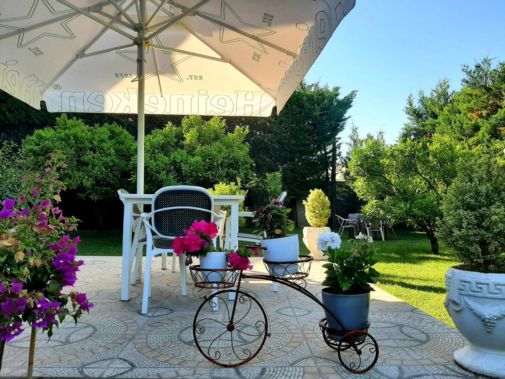 Hotel Vila Arbri Berat Eksteriør bilde